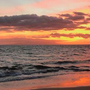 Meet your Posher, Cole